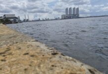 Ahok: Jika Tanggul Pantai Mutiara Jebol ….